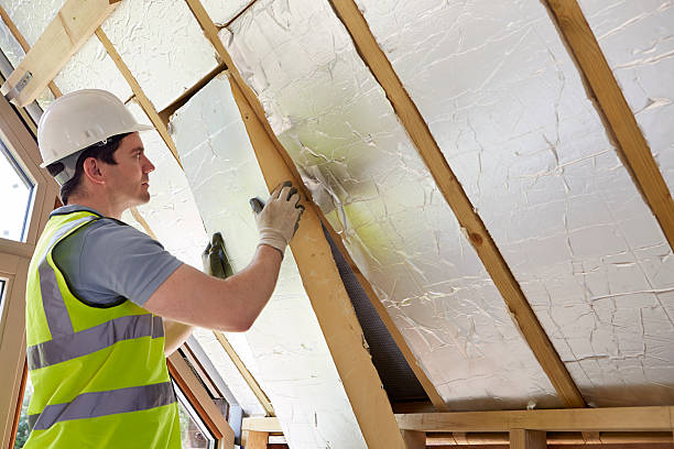 Best Home Insulation Services  in Gainesville, VA