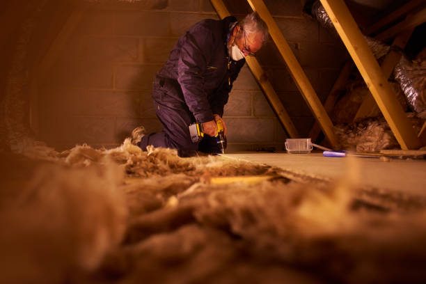 Best Attic Insulation Installation  in Gainesville, VA
